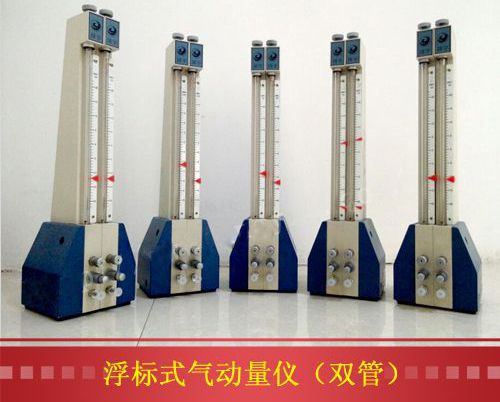 浮標式氣動(dòng)量?jì)x雙管